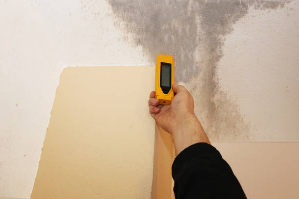 Best Post-Construction Mold Inspection  in Manchester, IA
