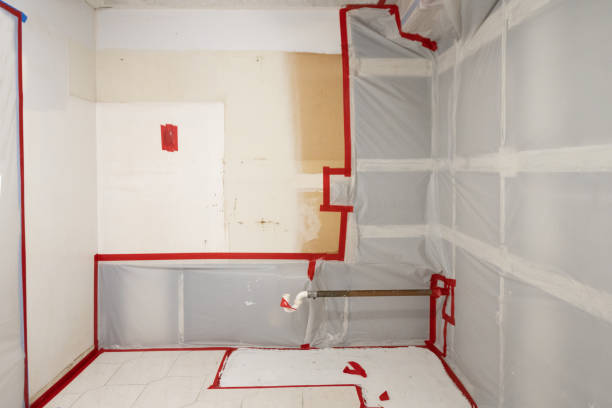 Reliable Manchester, IA Mold Removal Solutions