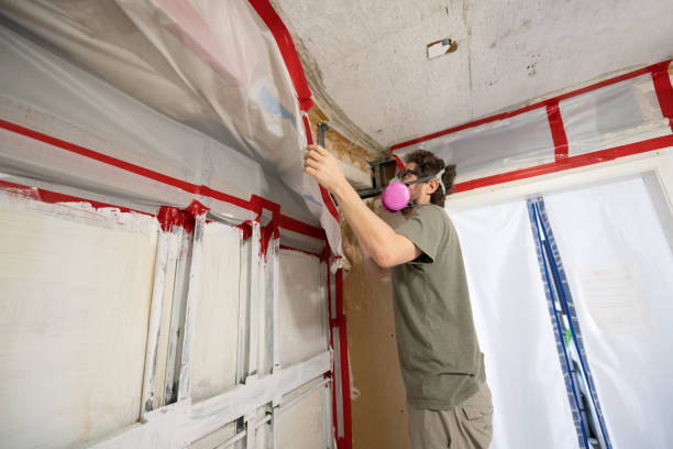 Best Commercial Mold Inspection  in Manchester, IA