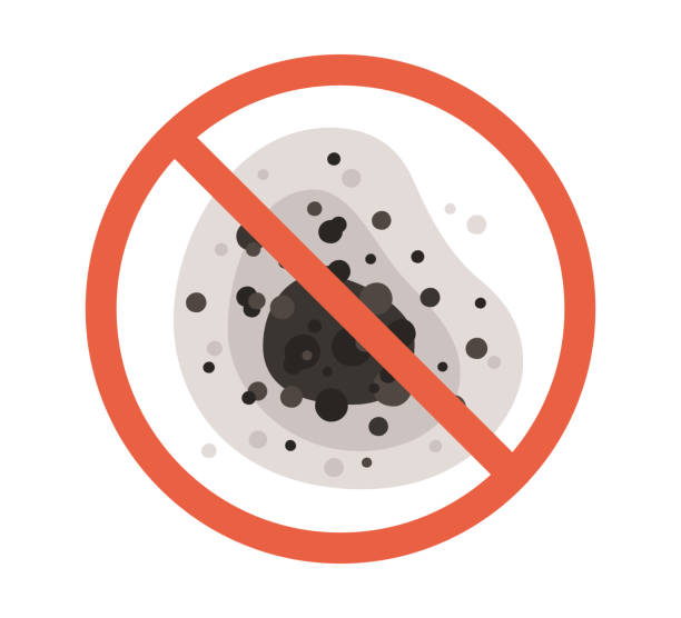 Best Mold Odor Removal Services  in Manchester, IA