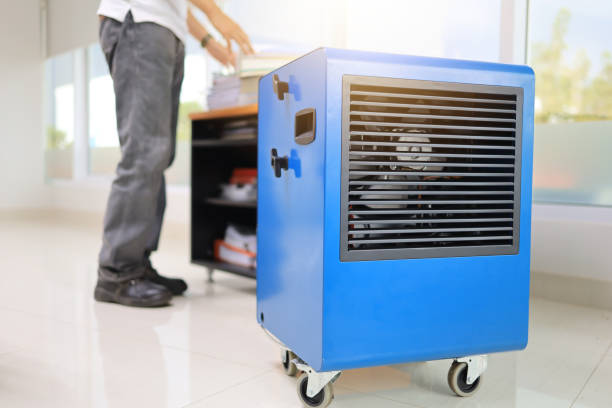 Best Mold Remediation for Vacation Homes  in Manchester, IA