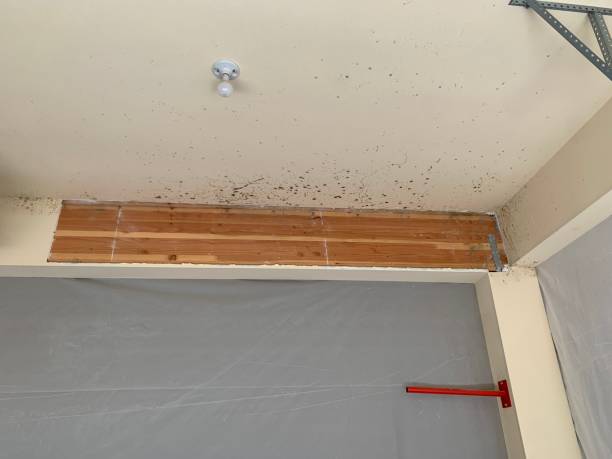 Mold Remediation for Vacation Homes in Manchester, IA